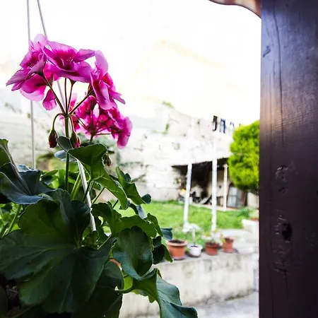 Guest house Natalija *