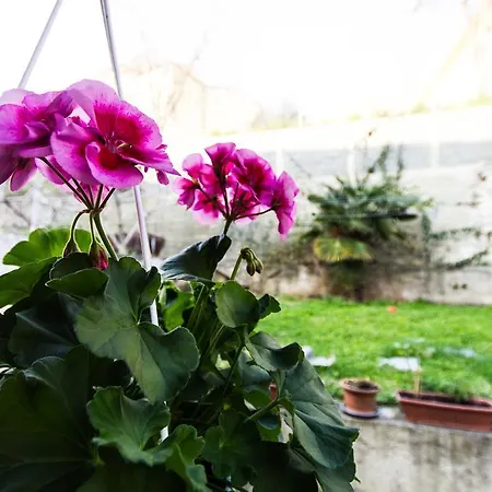 Guest house Natalija